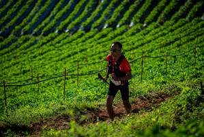 BIB: 
                            <button type="button" onclick="openModal(19160956)" class="btn btn-primary btn-sm float-right btn-popup" data-toggle="modal" data-target=".modal-high-quality">
                        <i class="fas fa-shopping-cart"></i> Add to Cart
                    </button>
                                            <button type="button" onclick="isThisMe(19160956, true)" class="btn btn-success btn-sm float-right btn-popup btn-isme hidden" data-toggle="tooltip" data-placement="bottom" title="นี่คือรูปของคุณใช่ไหม คลิกที่นี่เพื่อเอาเข้าอัลบั้ม">
                        <i class="fas fa-plus"></i> Add to album
                    </button>
                    <button type="button" onclick="isThisMe(19160956, false)" class="btn btn-warning btn-sm float-right btn-popup btn-isnotme hidden">
                        <i class="fas fa-ban"></i> Remove from album
                    </button>